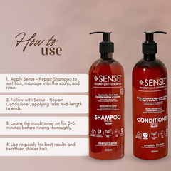 Repair & Shine Hair Care Kit – Shampoo + Conditioner for Dry & Damaged Hair