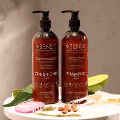 Repair & Shine Hair Care Kit – Shampoo + Conditioner for Dry & Damaged Hair