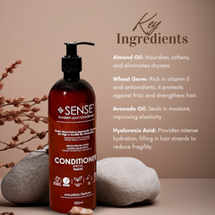 Amethyst & Garnet Repair Conditioner – Deep Hydration & Shine for Dry Hair (suscription)