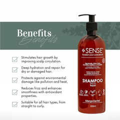 Amethyst & Garnet Repairing Shampoo – Salt-Free Natural Hair Care for All Hair Types (suscription)